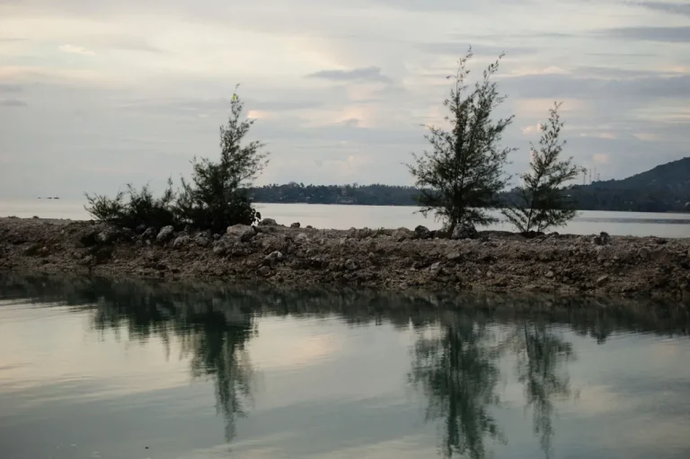 calm-water cruising in resort lagoons