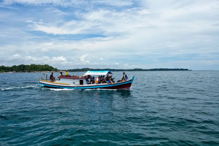 nature cruise ideas around mangrove areas