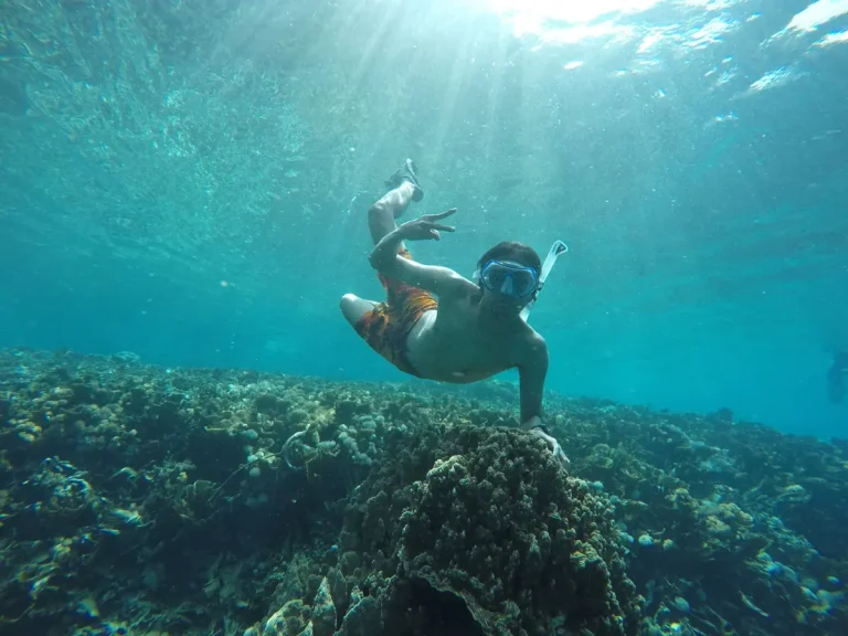 best snorkel stops reachable by charter