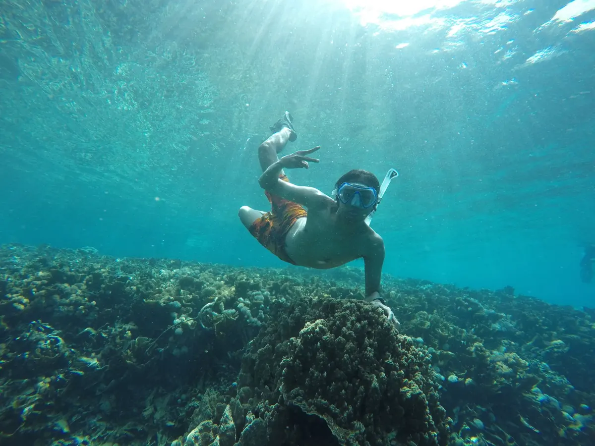 best snorkel stops reachable by charter